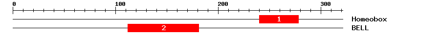 Signature Domain
