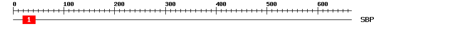 Signature Domain