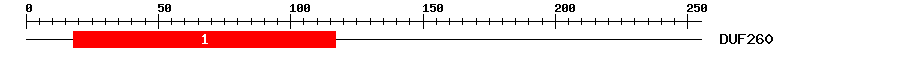 Signature Domain