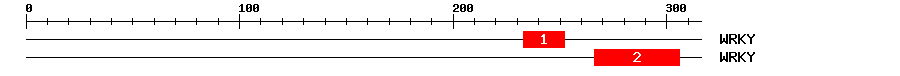 Signature Domain