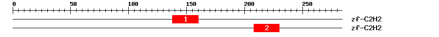 Signature Domain