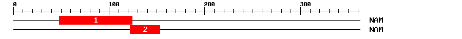 Signature Domain