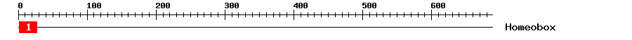 Signature Domain