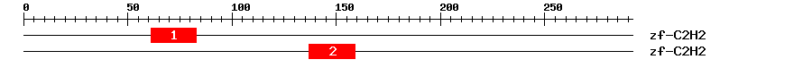Signature Domain
