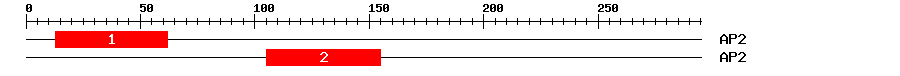 Signature Domain