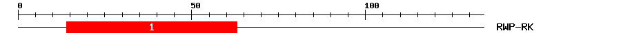 Signature Domain