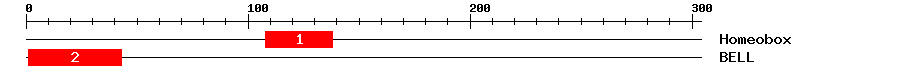 Signature Domain