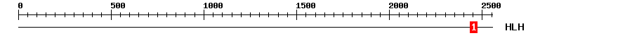 Signature Domain