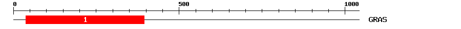 Signature Domain