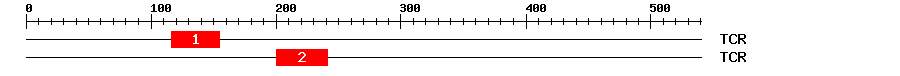 Signature Domain