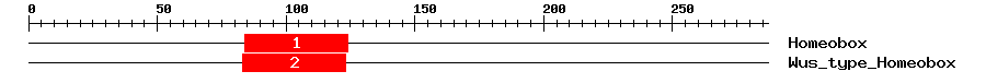 Signature Domain