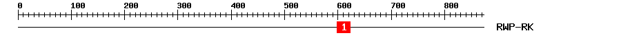Signature Domain