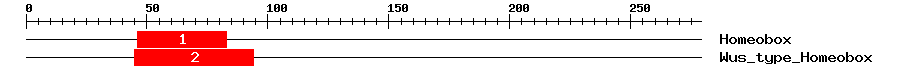 Signature Domain