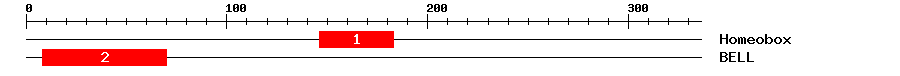 Signature Domain