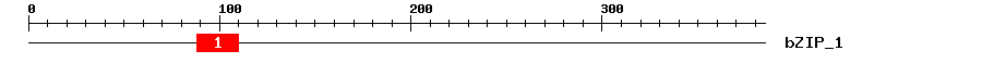 Signature Domain