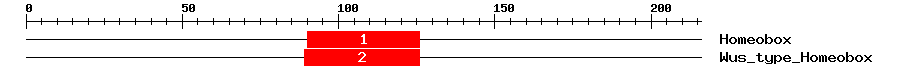 Signature Domain
