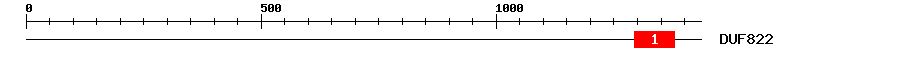 Signature Domain