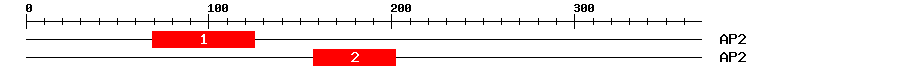 Signature Domain