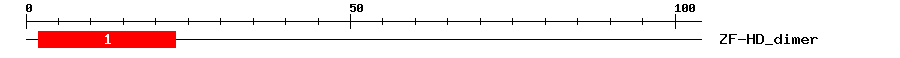 Signature Domain