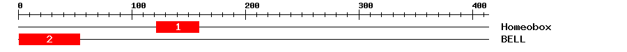 Signature Domain