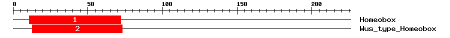 Signature Domain