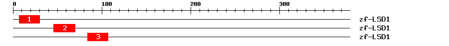 Signature Domain