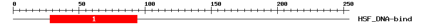Signature Domain