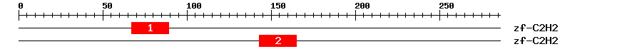 Signature Domain