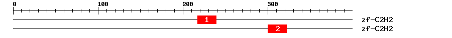 Signature Domain