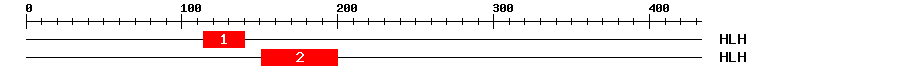 Signature Domain