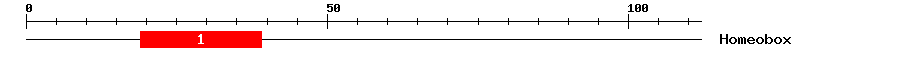 Signature Domain