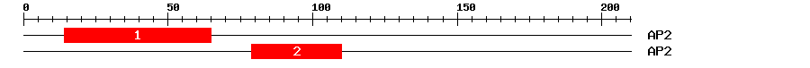 Signature Domain