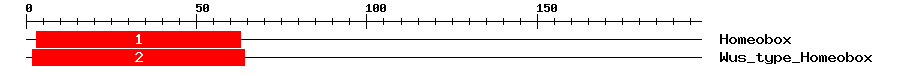 Signature Domain