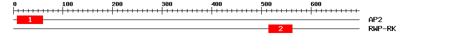 Signature Domain