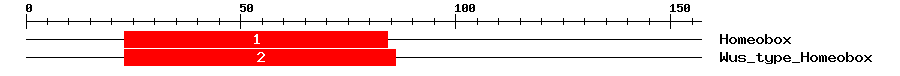 Signature Domain