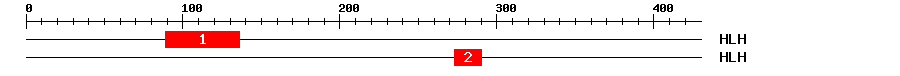 Signature Domain