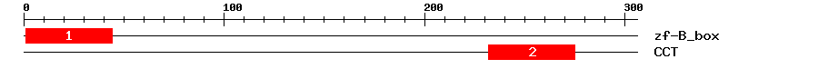 Signature Domain