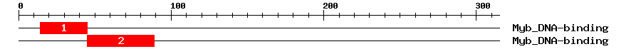 Signature Domain