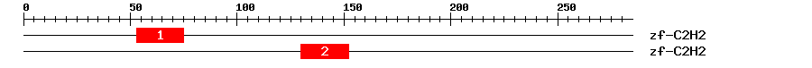 Signature Domain