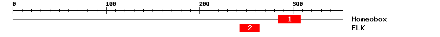 Signature Domain