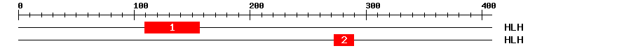 Signature Domain