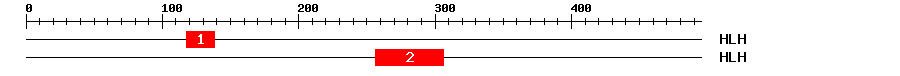 Signature Domain
