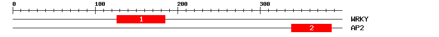 Signature Domain