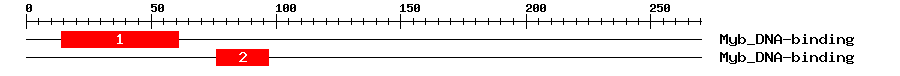 Signature Domain