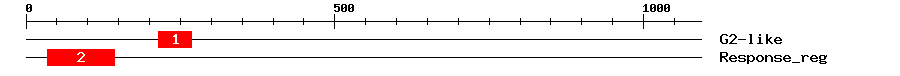 Signature Domain