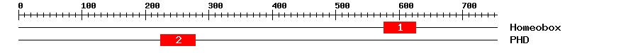 Signature Domain