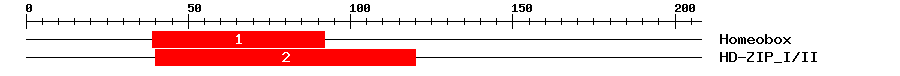 Signature Domain