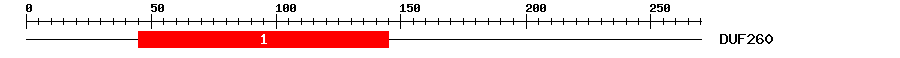 Signature Domain