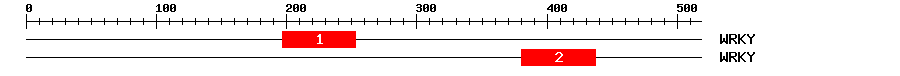 Signature Domain