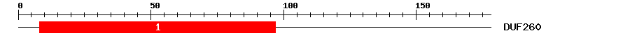Signature Domain